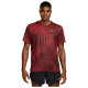 Nike Ανδρική κοντομάνικη μπλούζα Miler Dri-FIT UV Tee